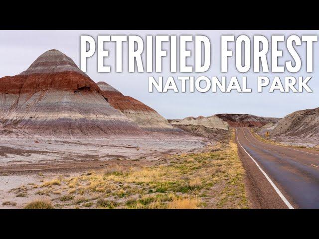 Petrified Forest National Park in Arizona: A One Day Travel Guide