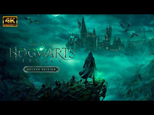 Гиппогриф вам укажет путь_Hogwarts Legacy (Хогвартс Наследие) 4К