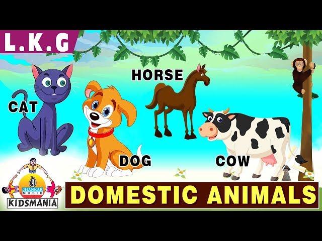 LKG | Domestic Animals | Educational Videos for Kids | Teach your Kids at Home