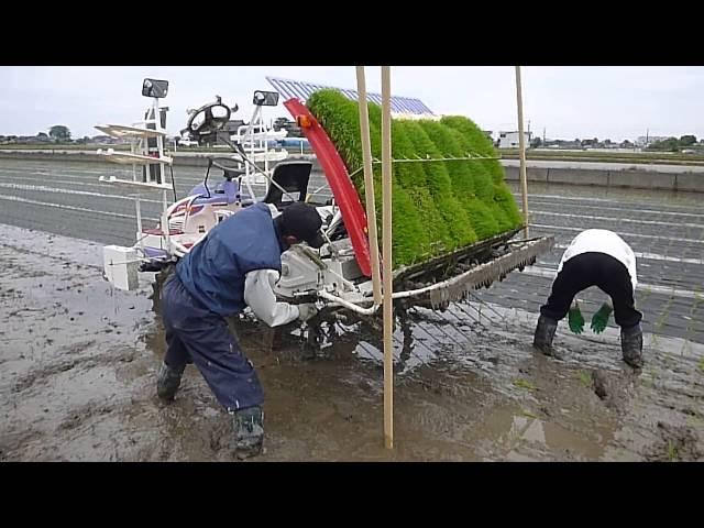 2014林さんちのゆかいな米つくり・紙マルチ田植え機ロール交換作業