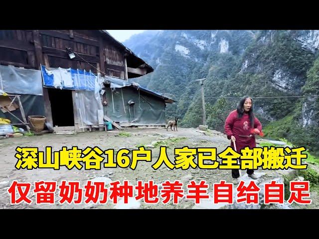 All 16 families in Guizhou's deep mountain canyons have been relocated  and only one family stays h