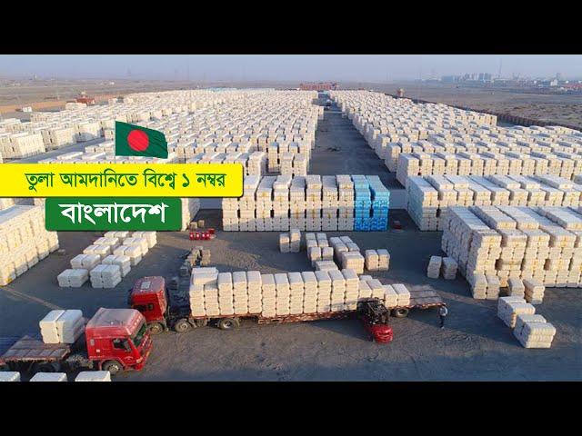 দেশটি ছোট !! কিন্তু তুলা আমদানিতে বিশ্বে ১ নম্বর বাংলাদেশ !! Bangladesh is No.1 in cotton importer