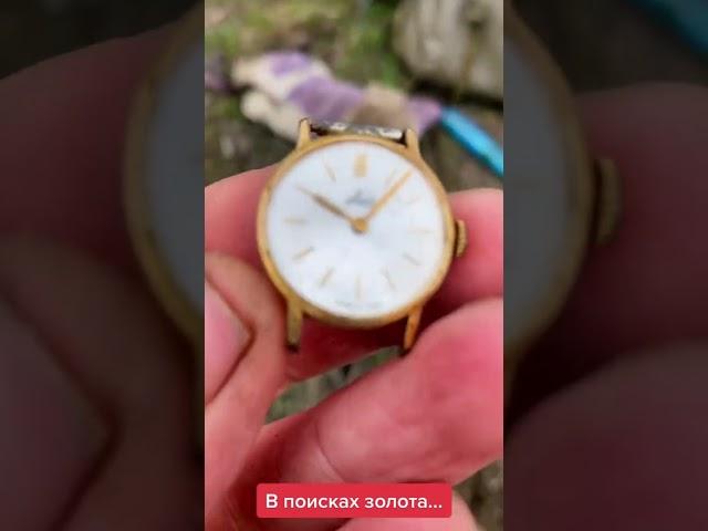 В поисках золота #камрад #shorts #металоискатель