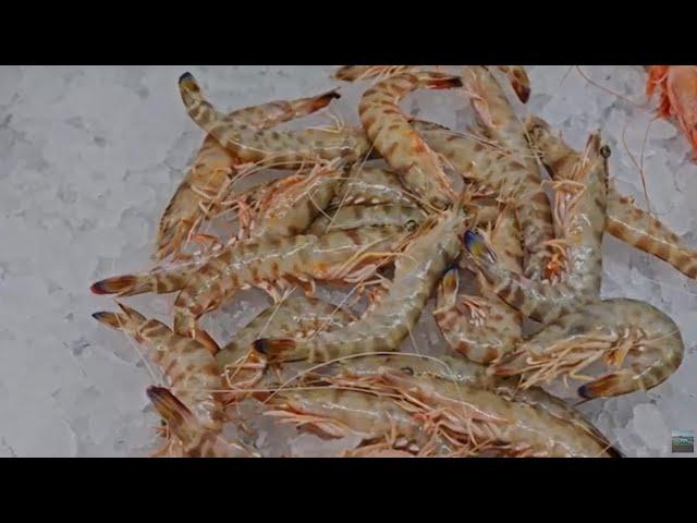 Una ciudad para comérsela, Sanlúcar de Barrameda, Cádiz