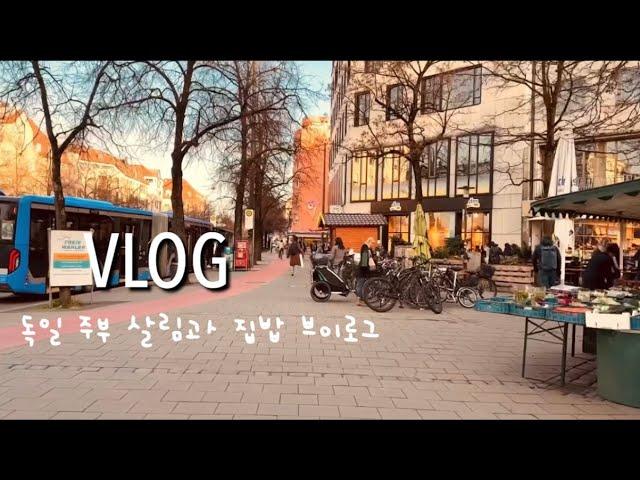 독일 뮌헨vlog | 오늘은 뭐 먹지? 맛있는 집밥 브이로그 (닭백숙, 인도카레와 난, 불고기 김밥, 감자 샐러드) / 끊임없이 사는 주방 도구 / 살림 브이로그