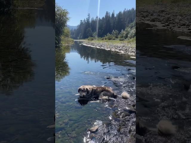 Slow Mornings in Northern California