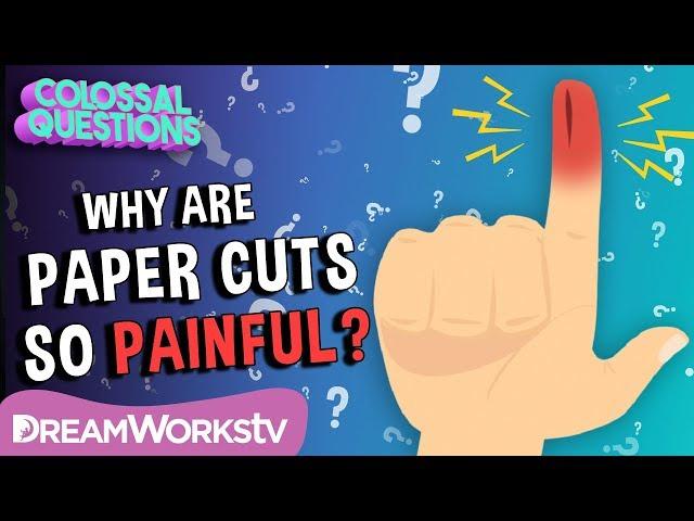 Why Do Paper Cuts Hurt So Much? | COLOSSAL QUESTIONS