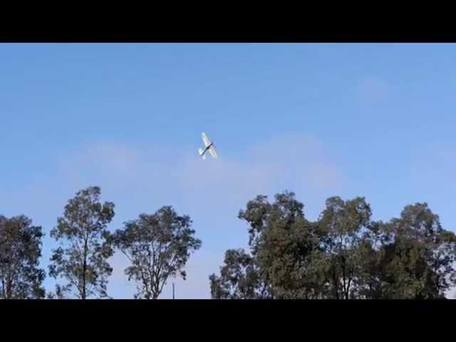 Dancing Wings Hobby 39in Shining EPP - Wide Open Spaces