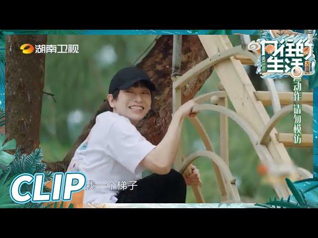 彭昱畅还是那么调皮！真是上树容易下树难！《向往的生活6》 Back to Field S6 EP1丨MangoTV