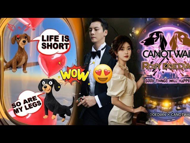 Delightful! Zhao Lusi and William Chan unveil a unique fashion line inspired by their beloved pets.