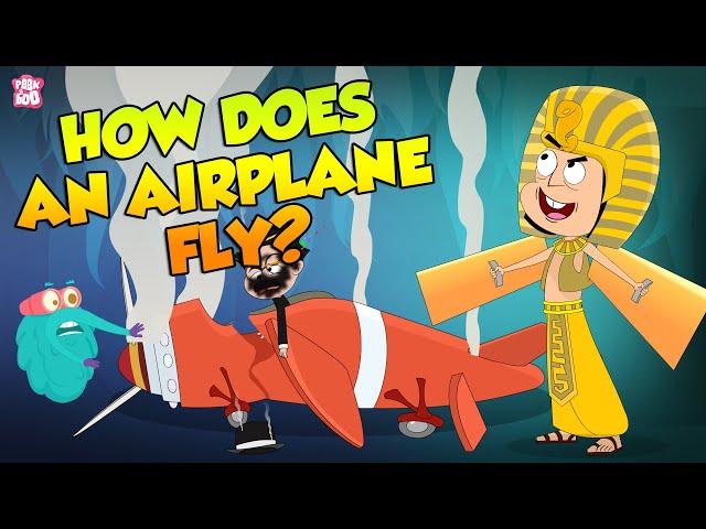 How Does An Airplane Fly? | Evolution Of Planes | The Dr Binocs Show | Peekaboo Kidz