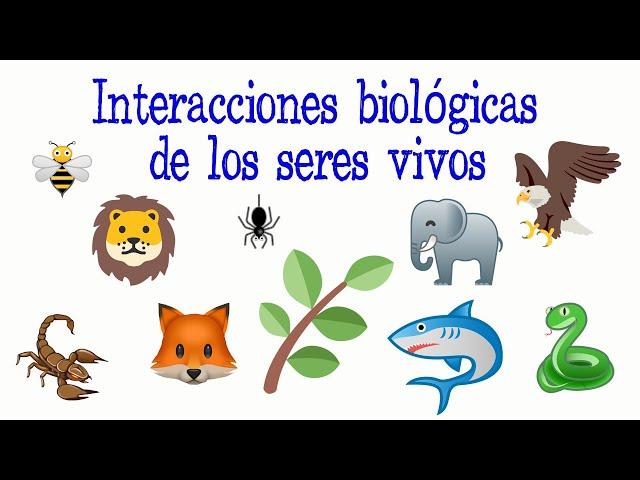 Interacciones biológicas de los seres vivos [Fácil y Rápido] | BIOLOGÍA |