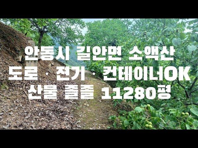 [안동소액산]안동 길안면 임야매매ㆍ안동소액산ㆍ안동힐링산11280평ㆍ도로ㆍ전기ㆍ농막가능ㆍ임업후계자추천