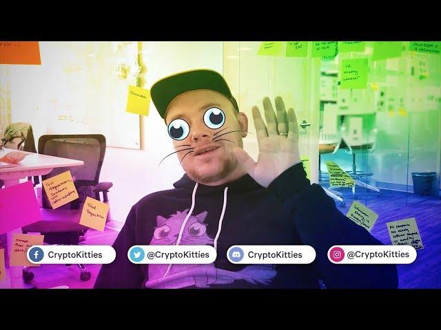 CryptoKitties Weekly Update: We're Now On YouTube!