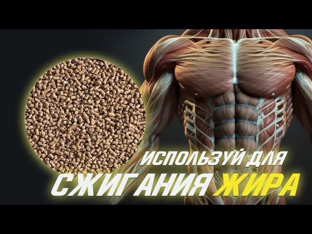 Мой Главный Продукт для Максимального Сжигания Жира