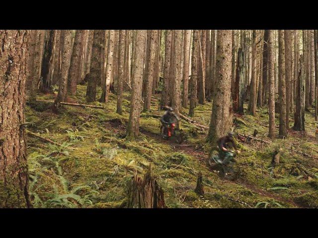 Dance in the Woods - Best MTB Trail Experience Pacific Northwest