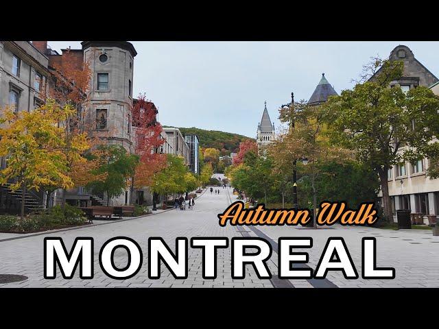 Montreal Autumn Walking Tour - October 2024