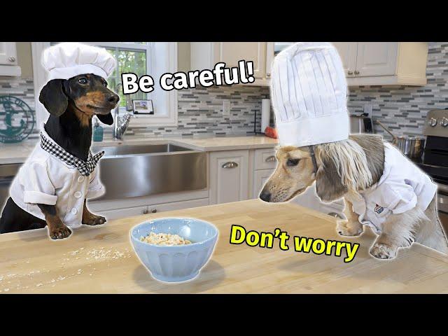 The Dogs Make Breakfast in Bed for Mum & Dad... (and Make a Mess!)