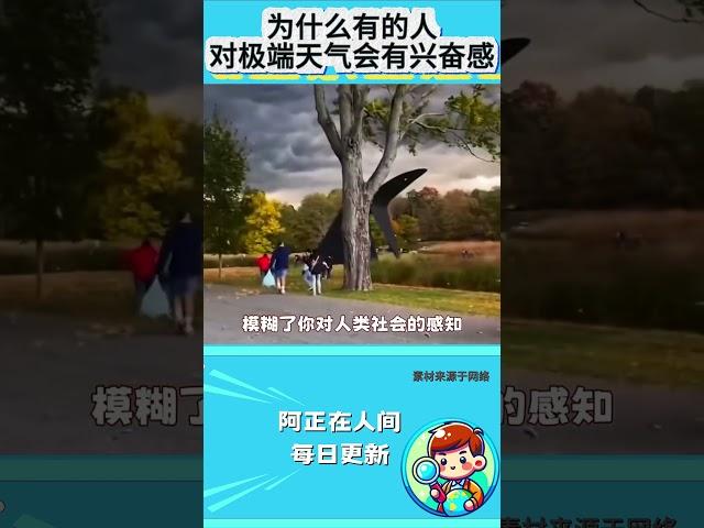 为什么有的人，面对极端天气会有兴奋感？
