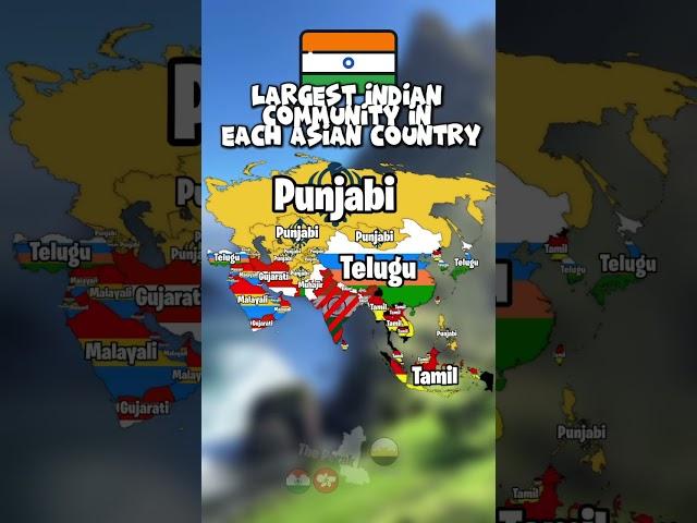 Largest Indian Community in each Asian country #history #geography #shorts #europe #mapping #mapper