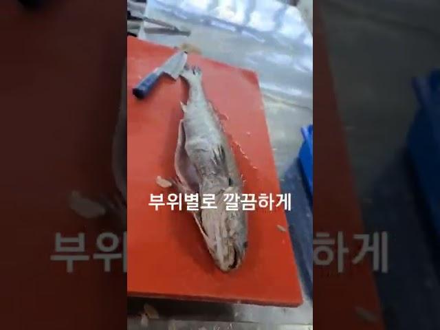 목포금동수산 민어손질