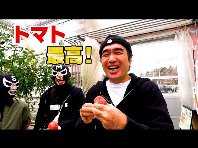 最高のトマトを食べてトマト嫌いを克服しよう