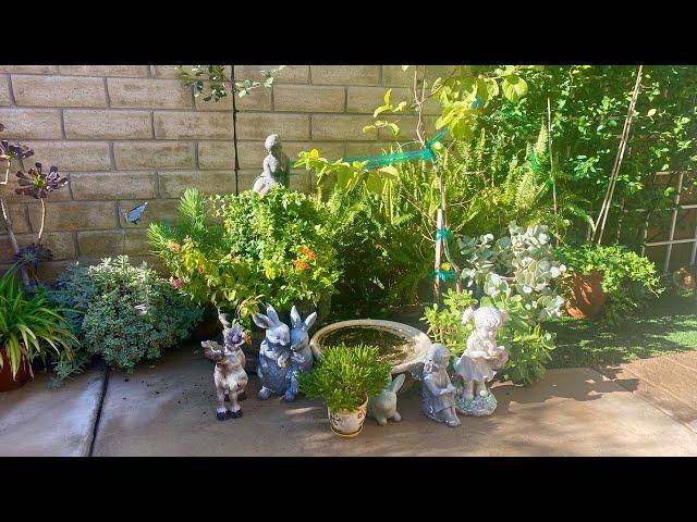 Connect With Nature/ Ecotherapy Relaxing Wednesday / Birds And City Sounds / Mademax solar Fountain