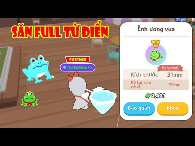 (Play Together) Na Hành Trình Săn Full Từ Điển "6 Loài Ếch Mới"