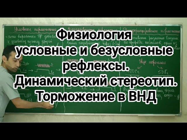 Физиология условных и безусловных рефлексов. Динамический стереотип. Торможение в ВНД