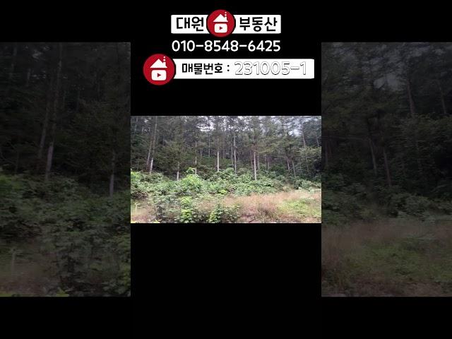 [계약완료]양평전원주택 / 단월면 마당넓고 국유림사용가능한 2억대 가성비최고 주택 / 매매2억9500만 / 양평급매물 / 대원부동산 231005-1 #양평전원주택급매 #대원부동산
