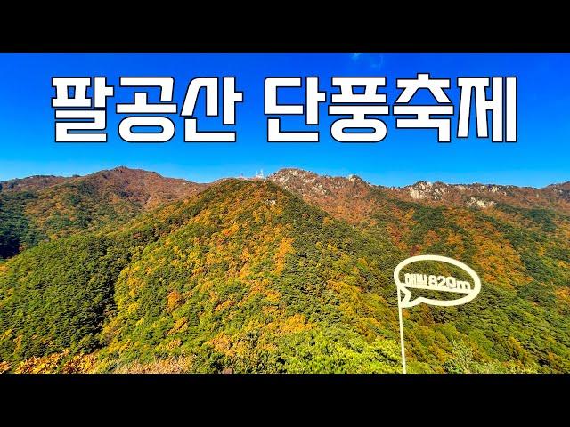 팔공산이 국립공원이 된 이유를 찾아서| 단풍철 팔공산 등산과 케이블카 | 등산 vlog