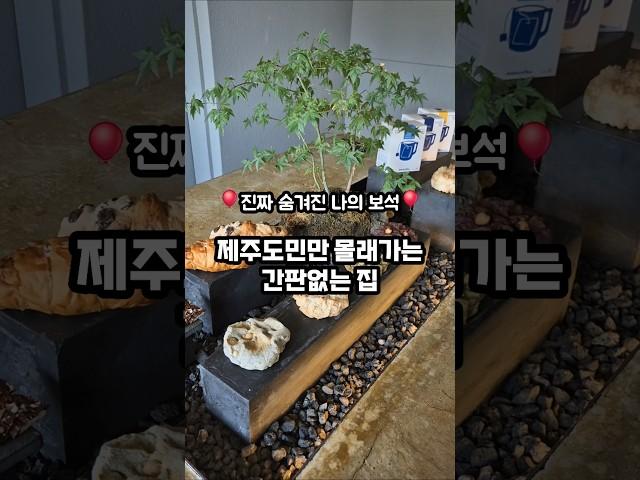 제주도민만 몰래가는 간판없는 디저트 맛집 바로 여기우다 여기‍️ 낡았지만 좋은 곳, 옛날을 그립게 하는 곳️ #제주맛집   #도민맛집  #서귀포맛집 #중문맛집 #제주구옥카페