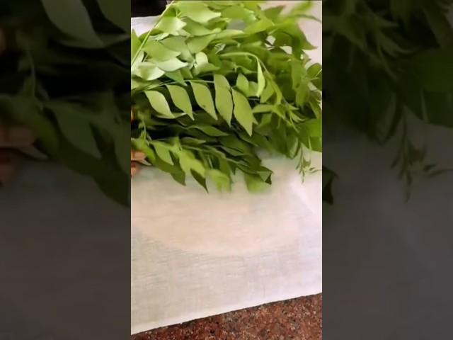 curry leaves always fresh #tips #tricks #hack #shorts #reels #kitchen #care #clean #hair #diy #art
