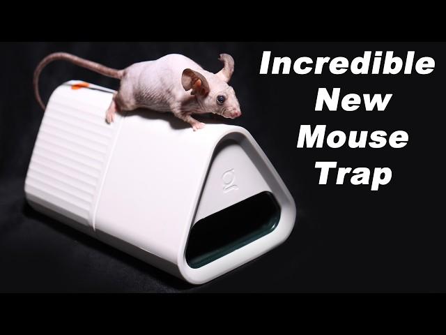 The GOODNATURE Smart Mouse Trap Is Incredible Technology. Mousetrap Monday