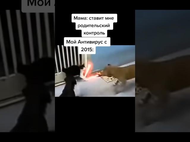Они бесполезны #врек
