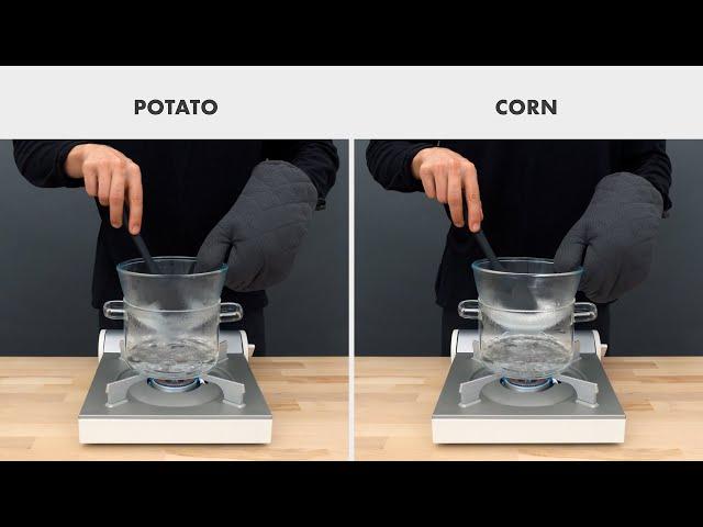 Homemade Bioplastic: potato vs. corn starch recipe