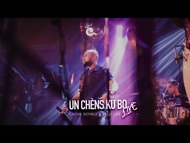 CACHE ROYALE [Live] - UN CHENS KU BO Ft Velli