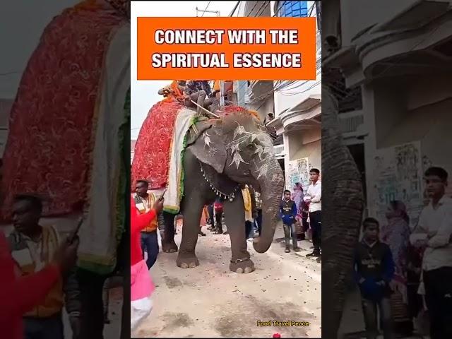 Jai Aghori | Jai Bhole 