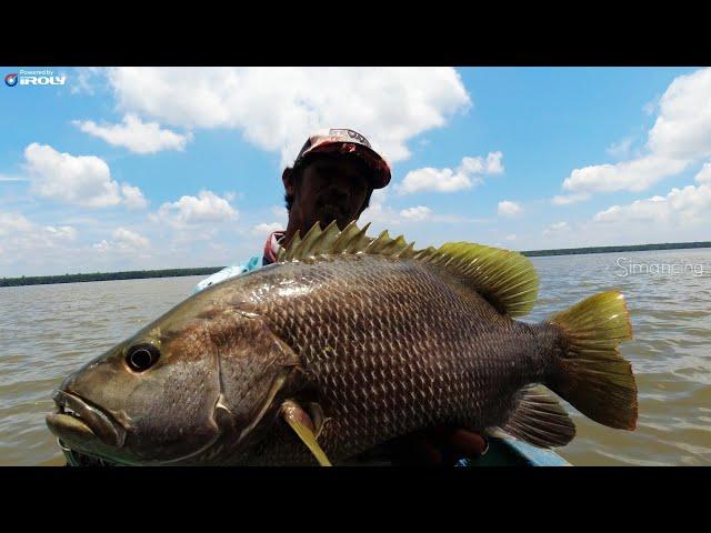 MANCING IKAN KAKAP DI MUARA SUNGAI BESAR