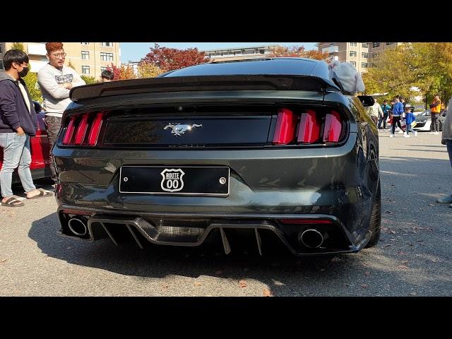 포드 머스탱 2.3 에코부스트 팝콘 배기음 (Ford Mustang2.3 Eco Boost pop exhaust sound)