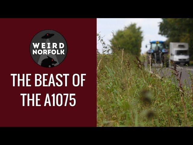 Weird Norfolk - The Beast Of The A1075