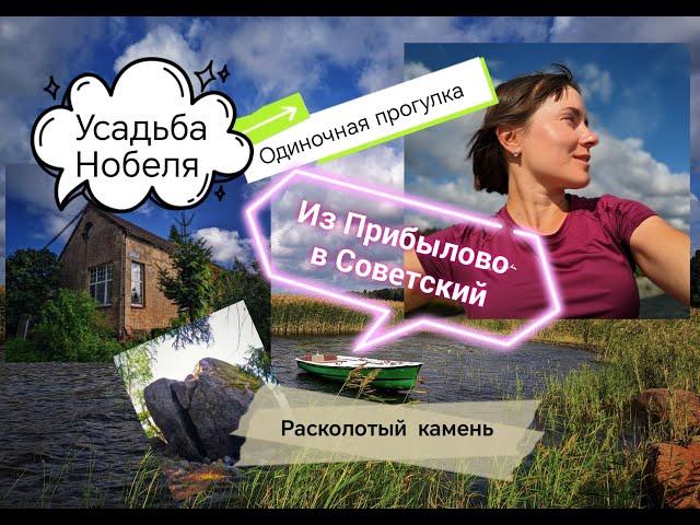 Одиночное путешествие от ст. Прибылово до пос. Советский. Ленинградская область, Выборгский район.