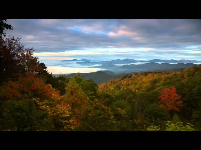 Fall Color in Asheville, N.C. and the Blue Ridge Parkway (2013)