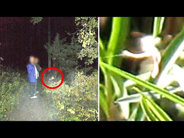 This Woman Was Able To Capture The Clearest Images Of A Fairy Ever Taken