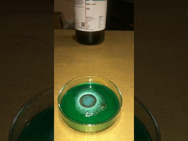 #shorts Nitric acid experiments.coin put into nitric acids #nitricacid @mrindianhacker