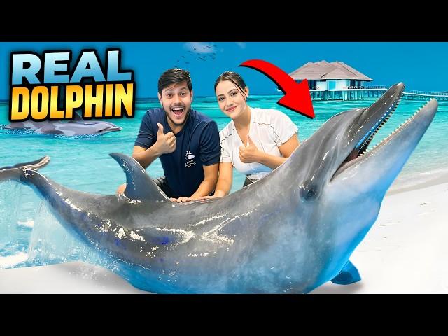 ডলফিনের সাথে সাঁতার কাটলাম | Swim With REAL DOLPHINS  | Rakib Hossain