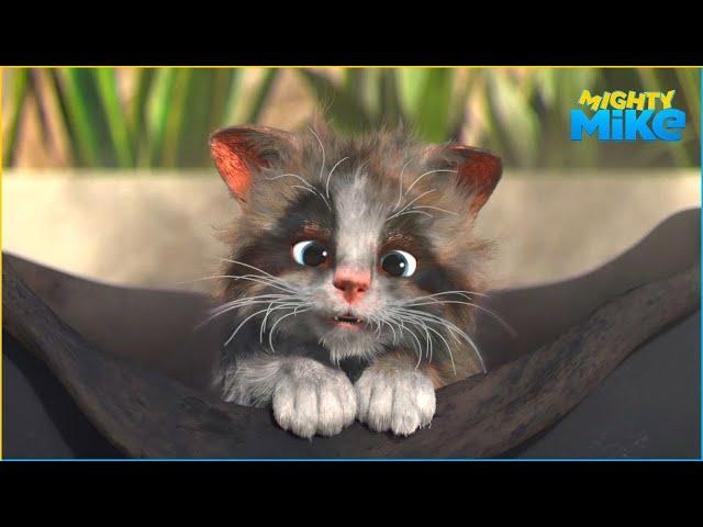 Feline A Little Racoon | Mighty Mike | 60' Compilation | Cartoon for Kids