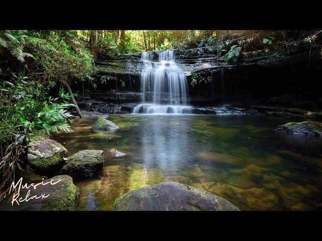 Calm Your Mind & Body: Soothing Sounds for Relaxation
