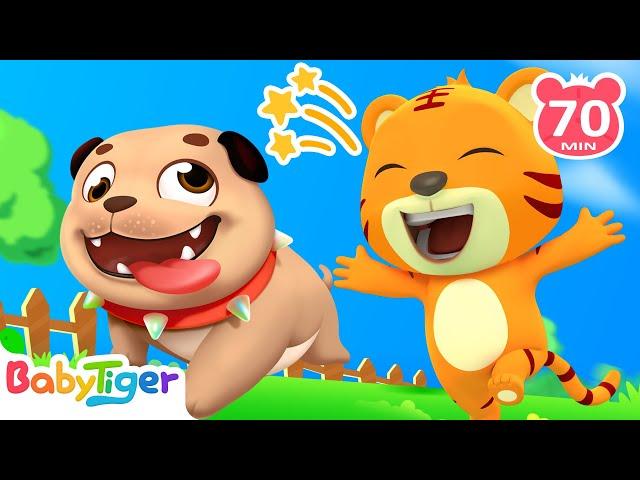 一只哈巴狗 | 大合集 | 經典熱門兒歌 | Kids Song | 動畫 | 童謠 | 兒童學習 | 卡通片 | Babytiger 中文 | Nursery Rhymes