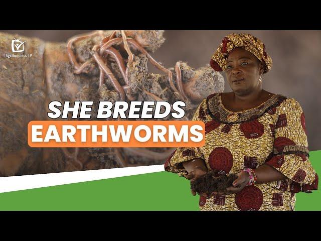 Burkina Faso: She breeds earthworms